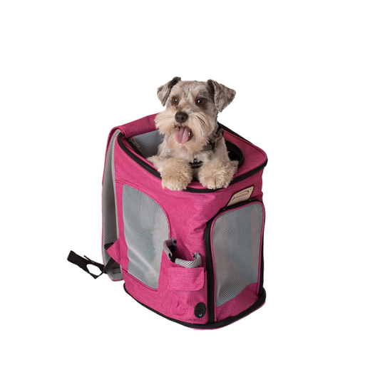 Armarkat PC301P Pets BackPk Pet Carrier In Pk and Gy Combo