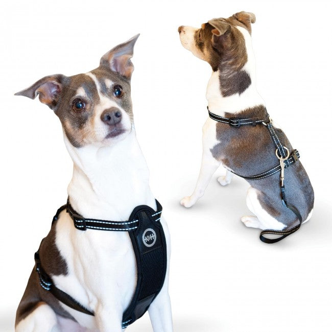 K&H Pet Products Travel Safety Pet Harness Extra Large Black