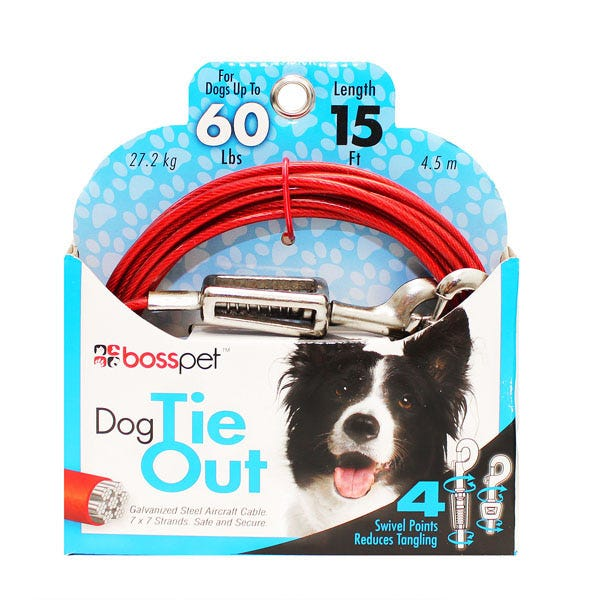 GG Large Dog Tie Out w Spring 30ft