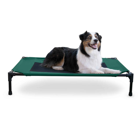 K&H Pet Products Original Pet Cot Elevated Pet Bed Large Green/Black 30" x 42" x 7"