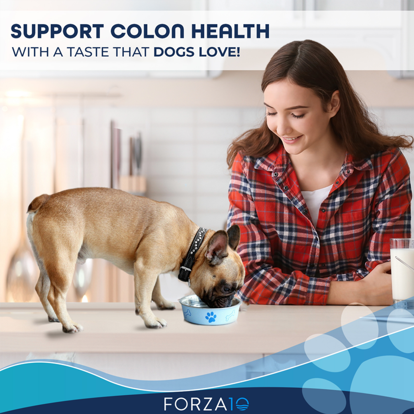 Forza10 Active Colon Support Diet Phase 1 Dry Dog Food, 22-lb bag