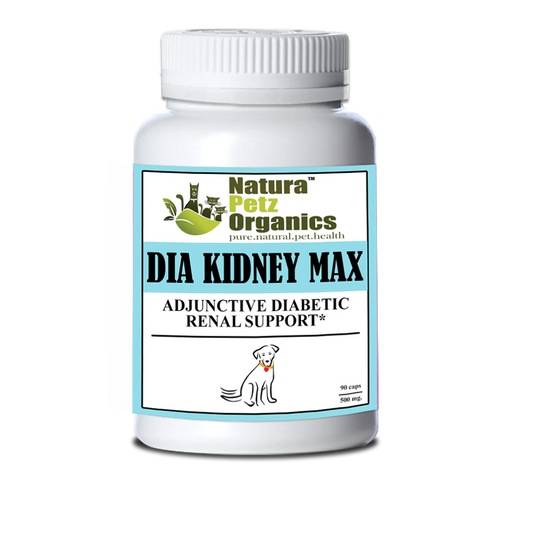 Dia Kidney Max Capsules Adjunctive Diabetic Renal, DOG 90 Caps