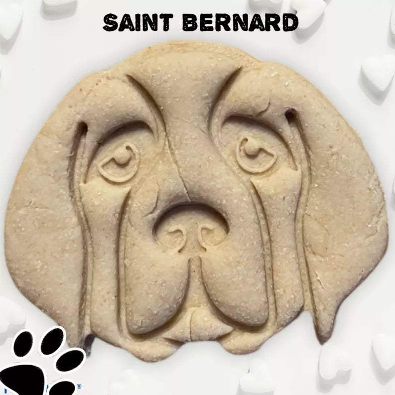 June Bug Dog Breed Dog Cookies Saint Bernard