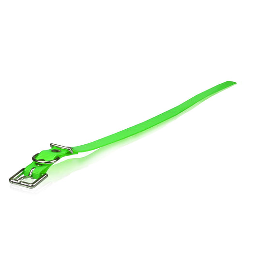 Dogtra Extra Dog Collar Strap Green 1" x 30"