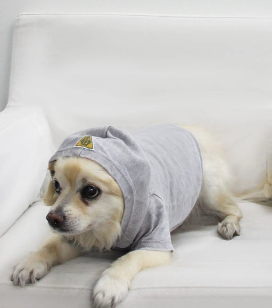 Doggy Tee, Medium, Coco