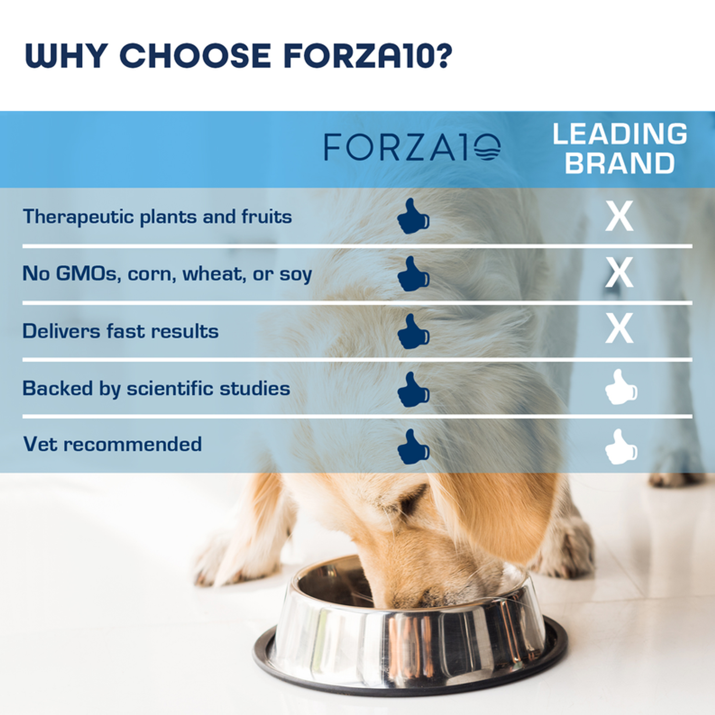 Forza10 Legend Digestion Grain-Free Dry Dog Food, 15-lb bag