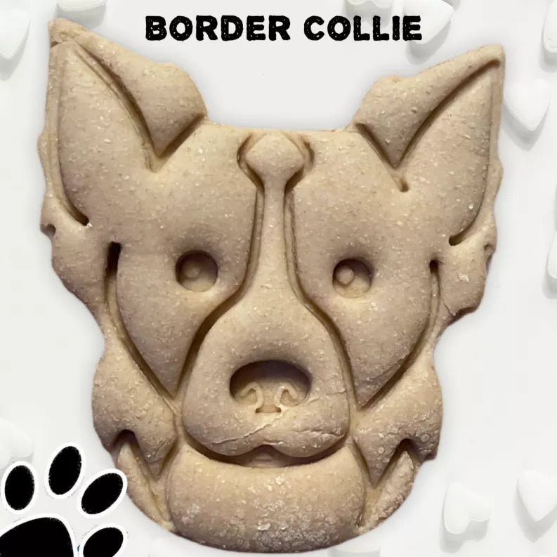 June Bug Dog Breed Dog Cookies Border Collie