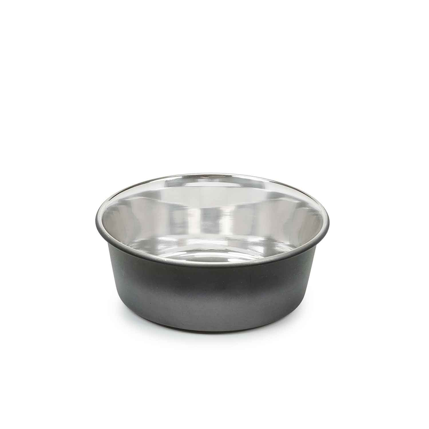 PS Stainless Steel Ombre Bowl Small