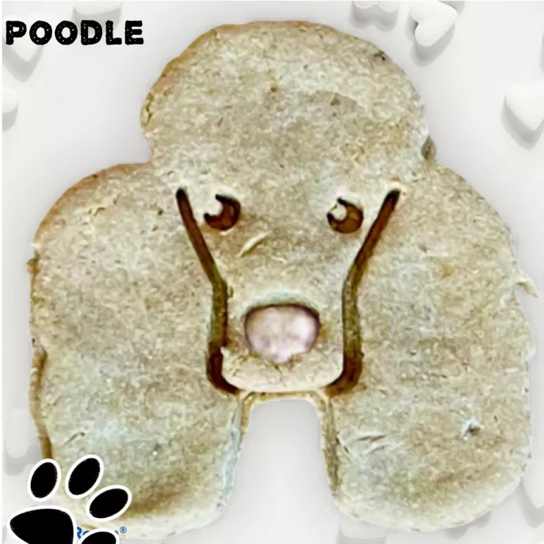 June Bug Dog Breed Dog Cookies, Poodle