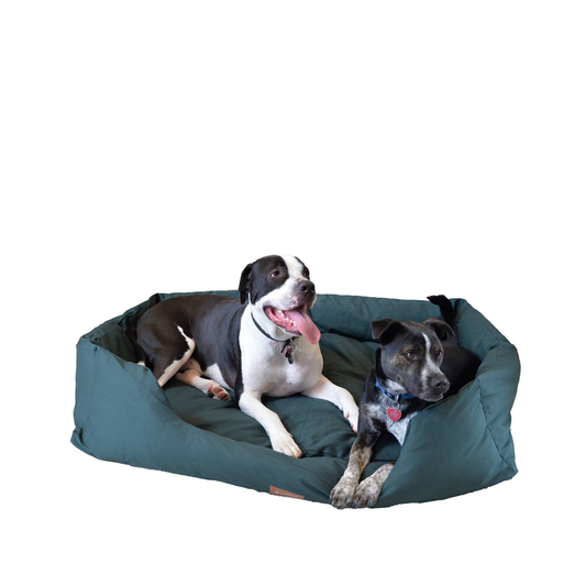 Armarkat Bolstered Dog Bed, Anti-Slip Pet Bed, Laurel Green, 49"L x 35" W x 10" H