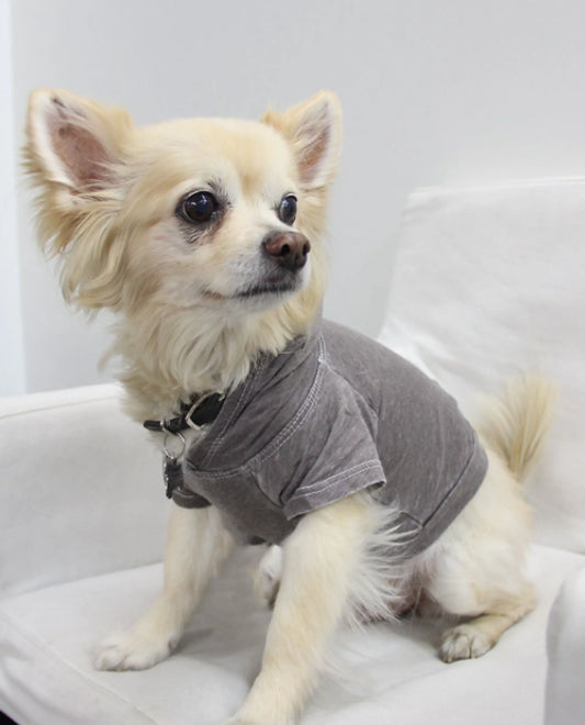 Doggy Hoodie French Terry, XS, Coco