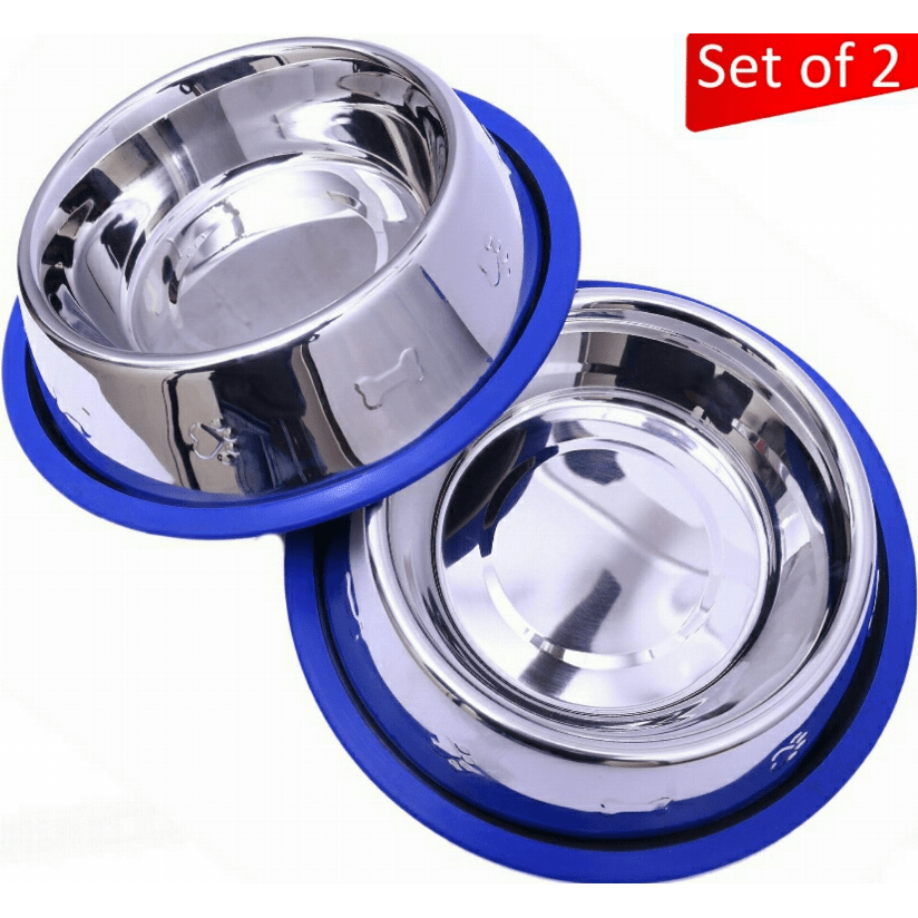 Etched Stainless Steel Dog Bowls with Blue Silicone Base