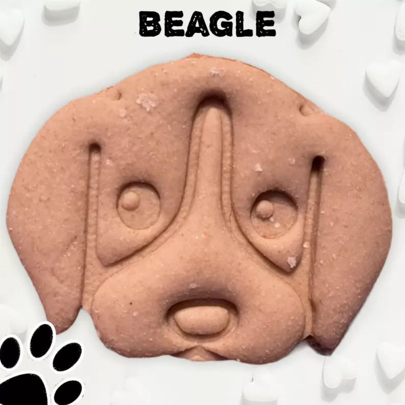 June Bug Dog Breed Dog Cookies, Beagle