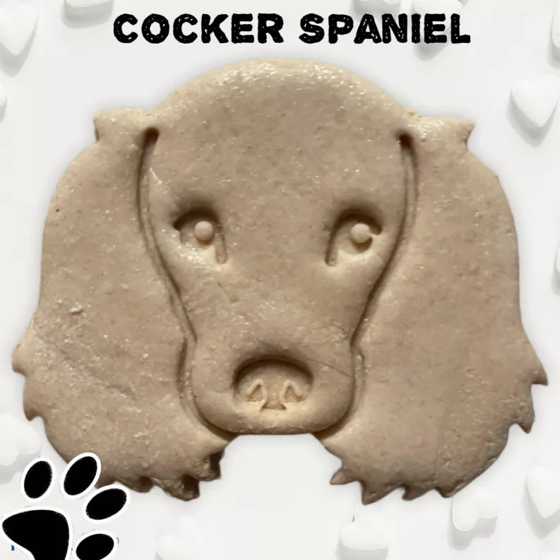 June Bug Dog Breed Dog Cookies Cocker Spaniel