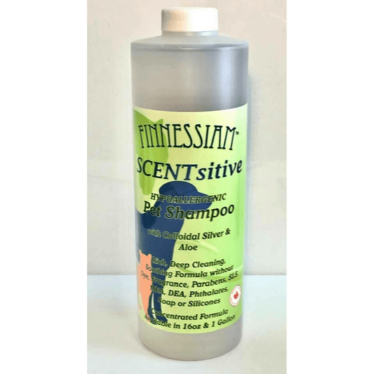 SCENTsitive Shampoo, 16oz,