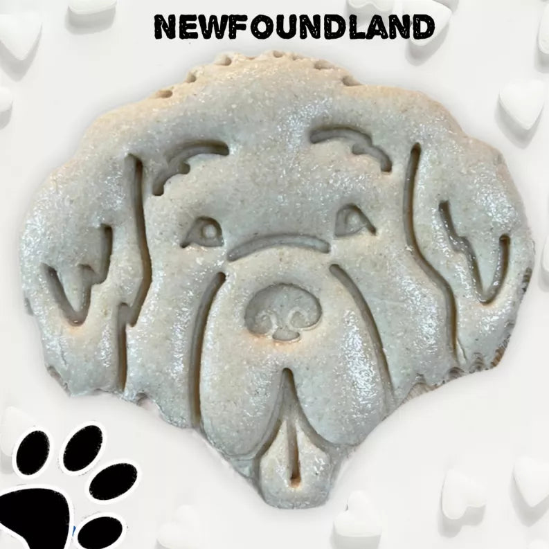 June Bug Dog Breed Dog Cookies, Newfoundland