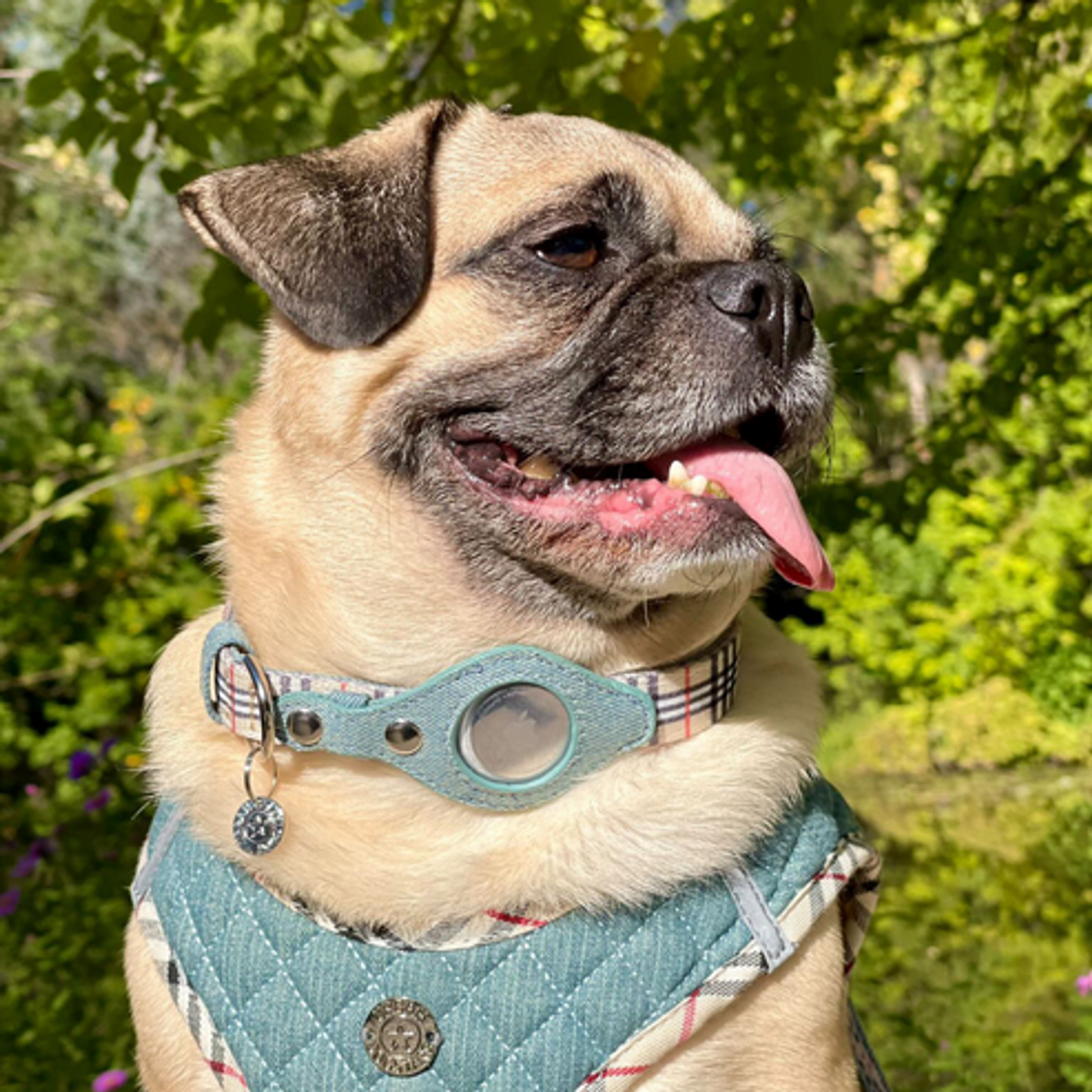 Apple Airtag Collar