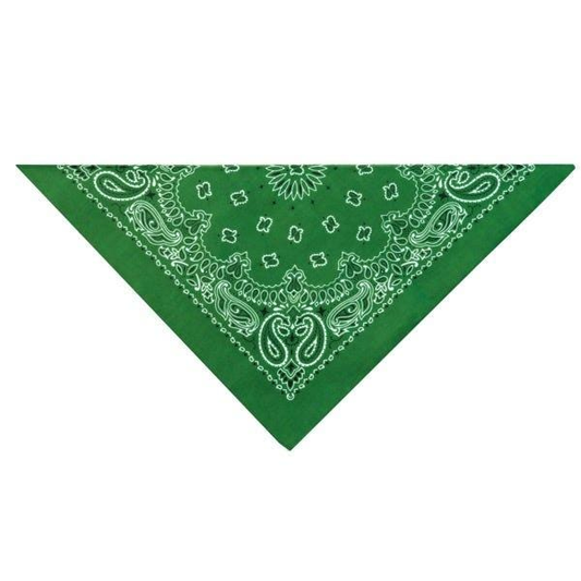 TP Paisley Bandana Dk Grn