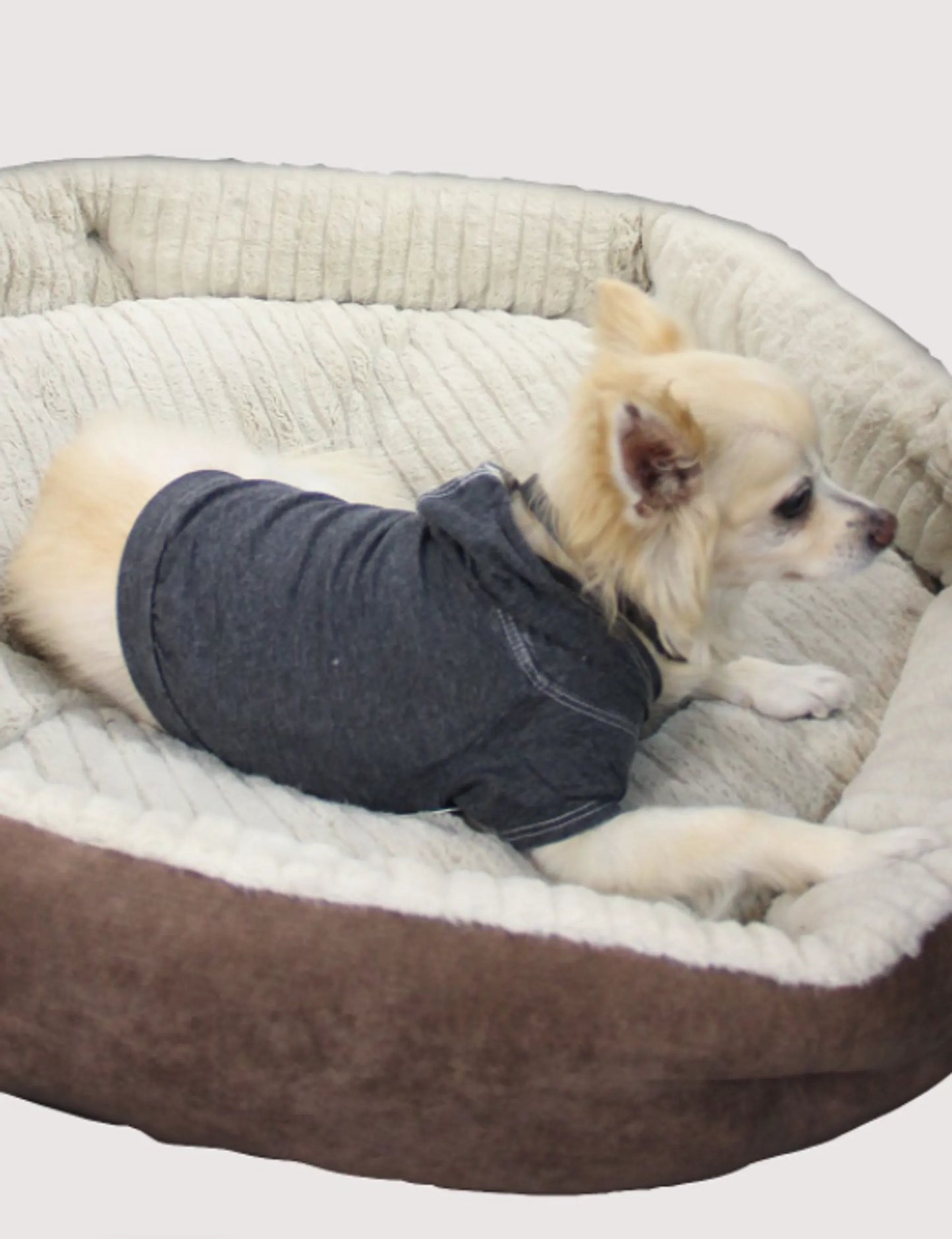 Doggy Hoodie, XS, Coco