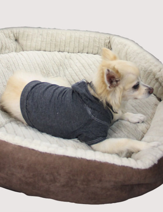 Doggy Hoodie, XS, Coco