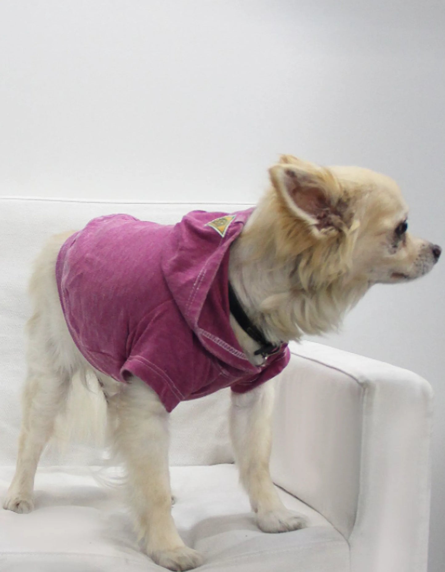 Doggy Hoodie, Small, Magenta