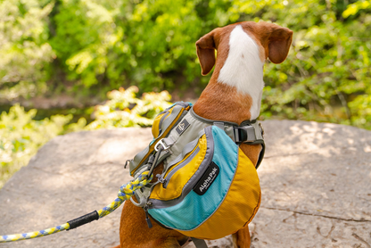 Adventurer Dog Pk (1-piece), Extra Large