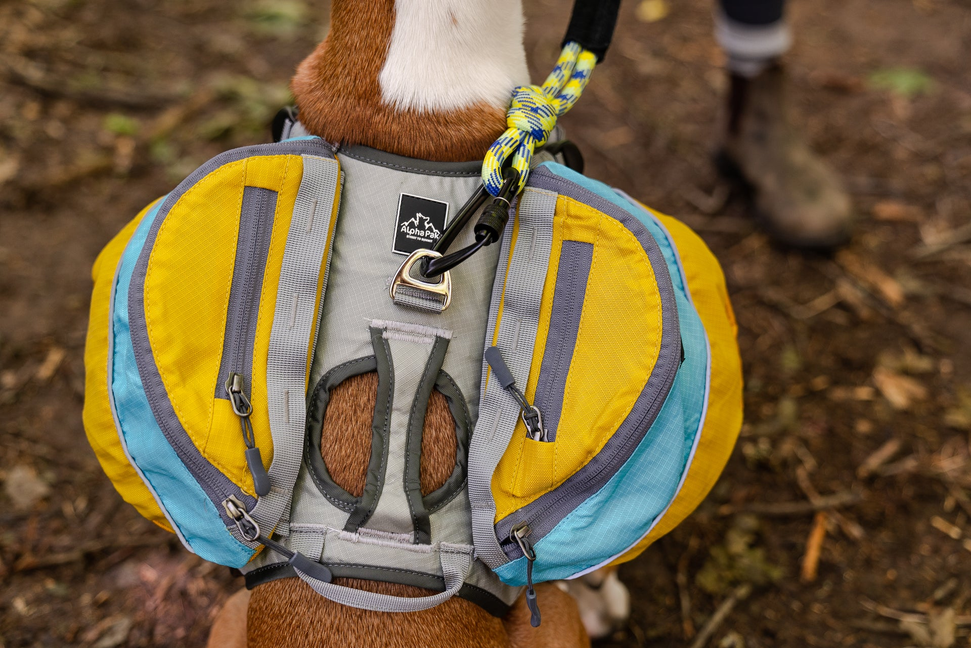 Adventurer Dog Pk (1-piece), Extra Large