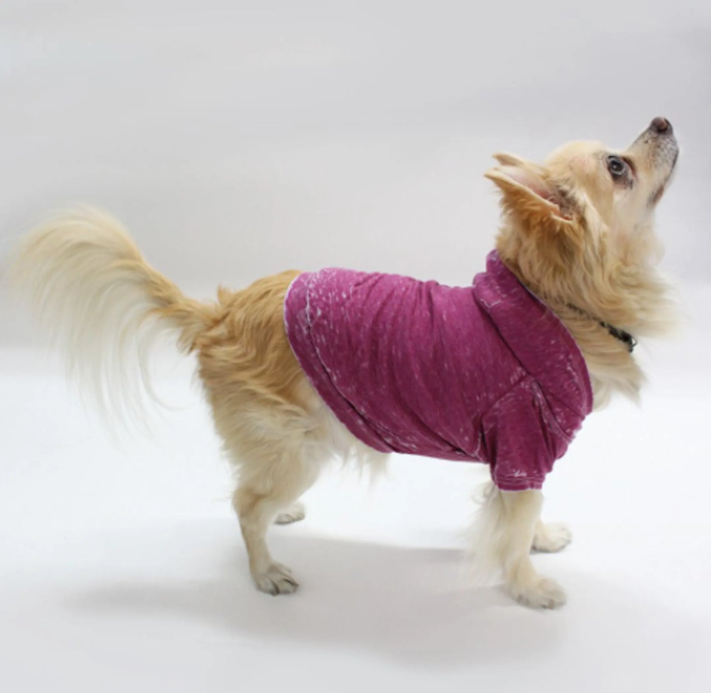 Doggy Hoodie French Terry, XL, Magenta