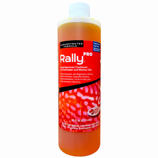 Rally PRO 16 oz