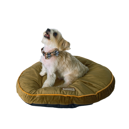 Armarkat Pet Bed Pad, Poly Fill Dog Cushion Bed, Mocha, 25"L x 25" W x 3.5" H