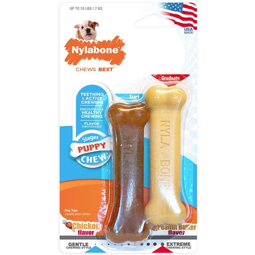 Nylabone Puppy Chew Twin Pk Petite, 2 ct