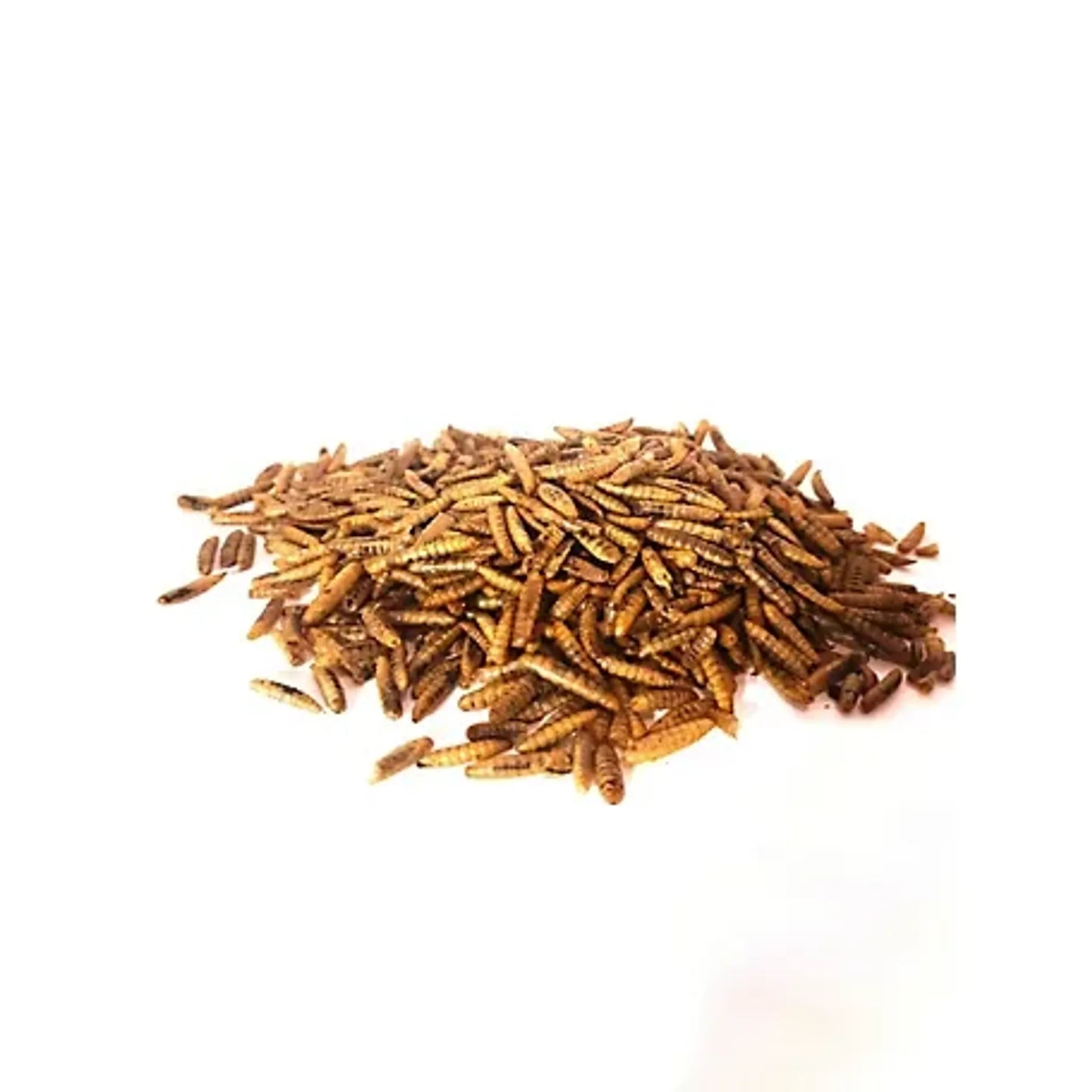 Dried Black Soldier Fly Larvae, 10 lbs